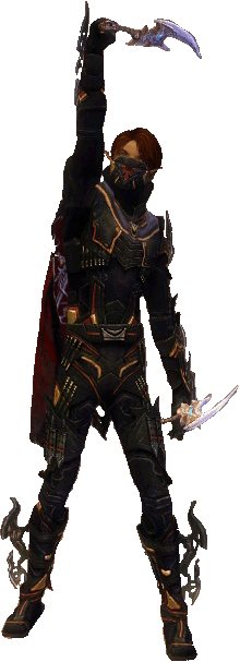 Jax Gareth