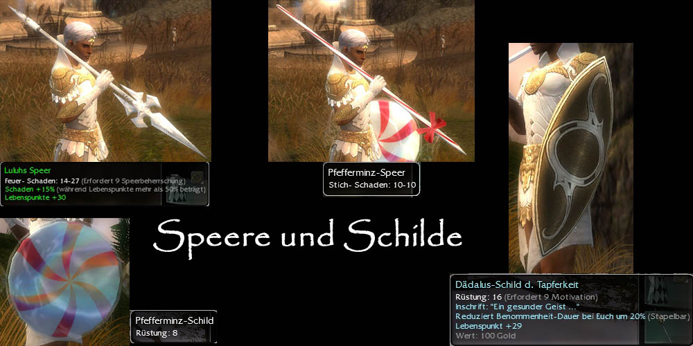 Speere und Schilde